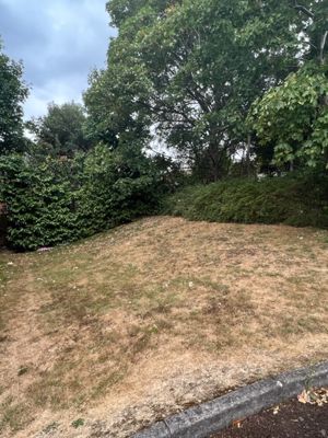 Photo 3- click for photo gallery